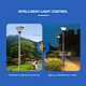 wholesale Daffodil all in one solar garden lamp