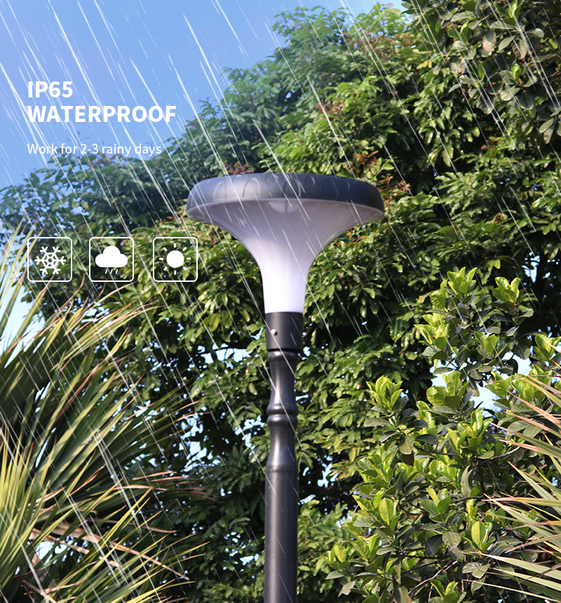 waterproof Morning glory led all in one solar urban lamps manufacturer