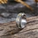 stainless steel chinese ring