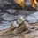 stainless steel chinese ring