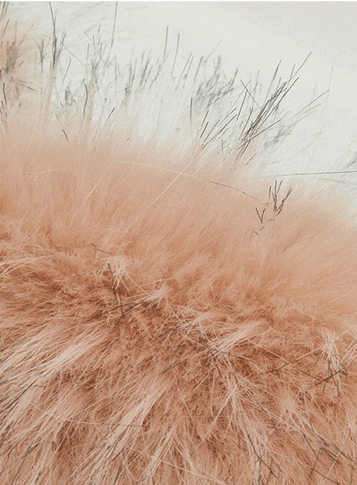fur collar wool coat