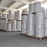 Single/ Double PE Coated Paper Roll Paper Cup Raw Material