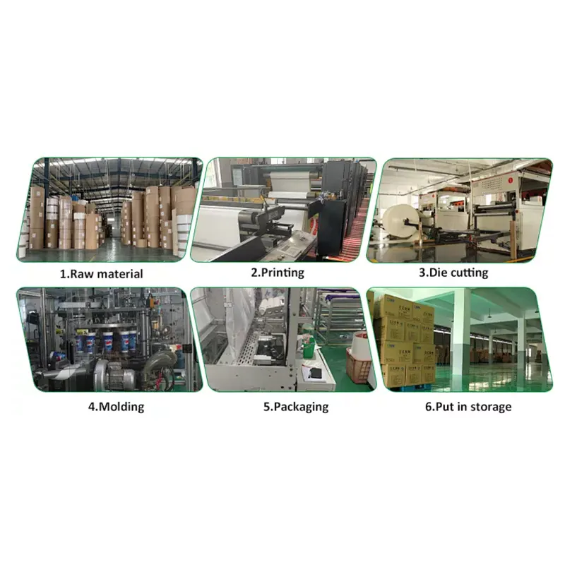 PE coated cup paper