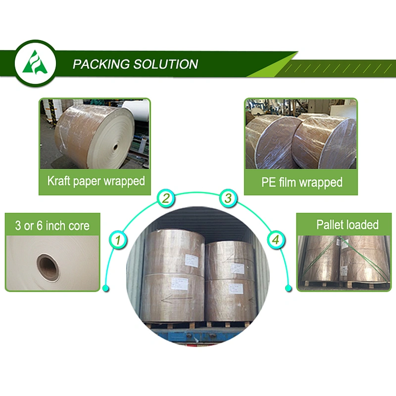 PE Coated paper