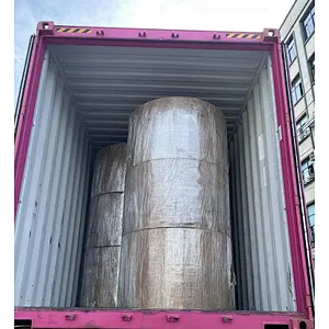 Single/ Double PE Coated Paper Roll Paper Cup Raw Material