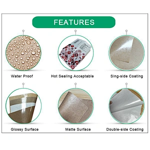 Takeaway packaging PE coated food grade take away paper food box raw material PE coated kraft paper jumbo roll