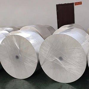 Single/ Double PE Coated Paper Roll Paper Cup Raw Material