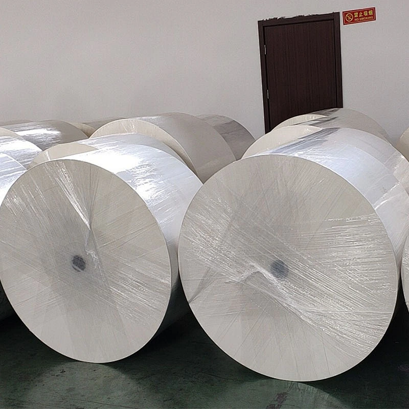 Single/ Double PE Coated Paper Roll Paper Cup Raw Material