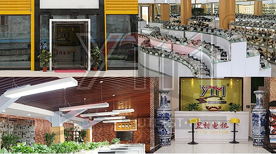 Yute Motor(Guangdong) Mechanical parts Co., Ltd.