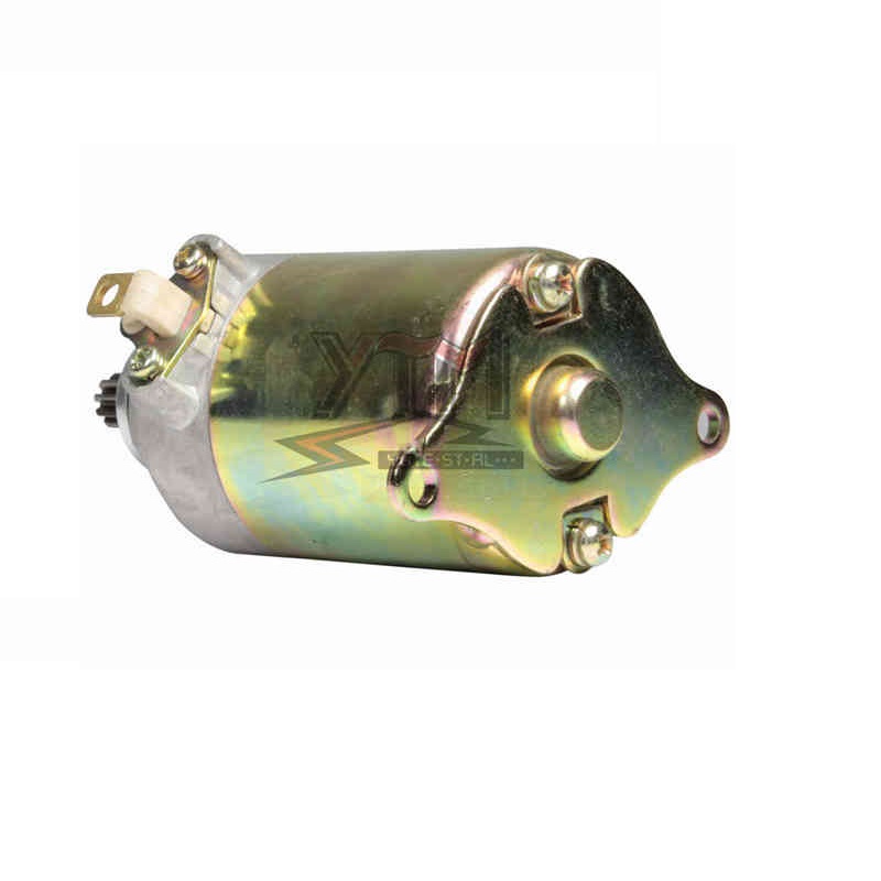 STZ8897 starter motor
