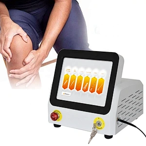2025 Hot Sale  Portable Class Iv High Power Laser Physiotherapy Equipment 980nm for Pain Relief