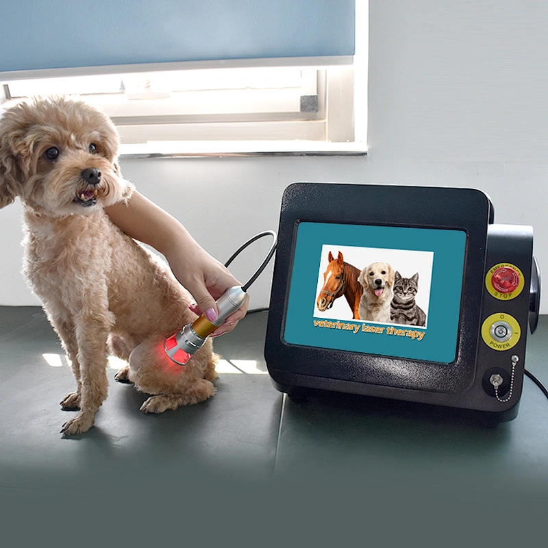 Low Level Therapy Veterinary Vet Laser for Pain Relief and Healing in Pets and Larger Animals