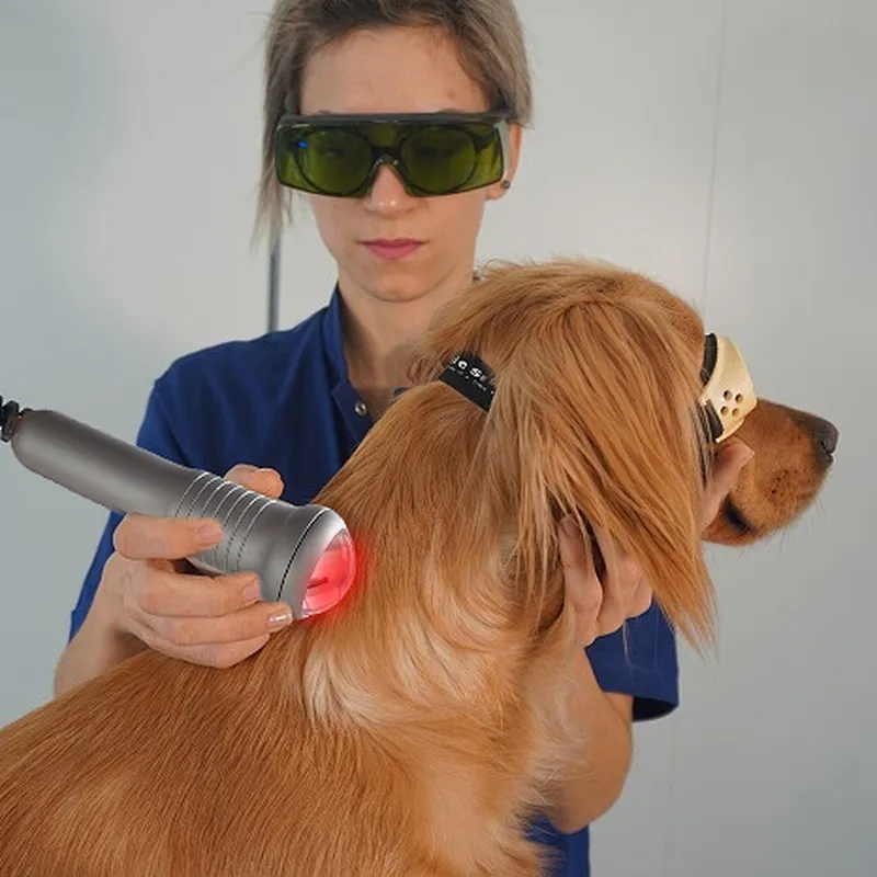 Pain Therapy Veterinary Laser 30w  60W 980nm Class 4 Laser Physiotherapy Equipment