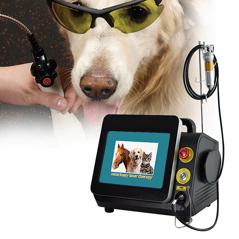 Lllt Laser Diode 980nm  Laser Physical Therapy Physiotherapy High Power Laser Equipment