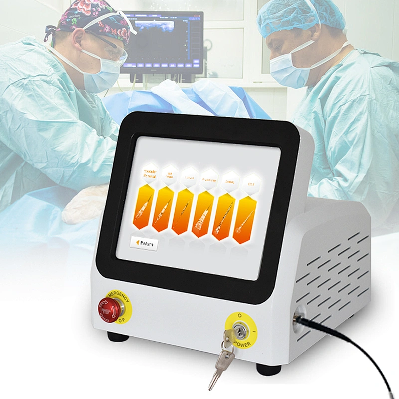 2025  Hot Sale 980nm 60w Diode Laser  Removal Hemorrhoids Laser Hemorrhoid Treatment Surgery Machine