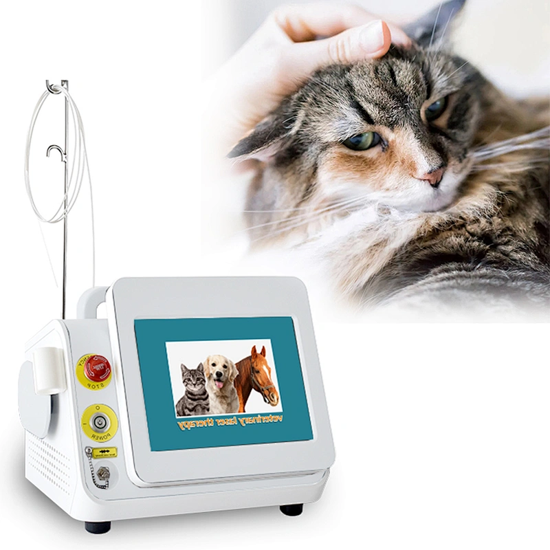 Class 4 Laser Therapy Veterinary Laser Therapy for Animal Dogs Horse