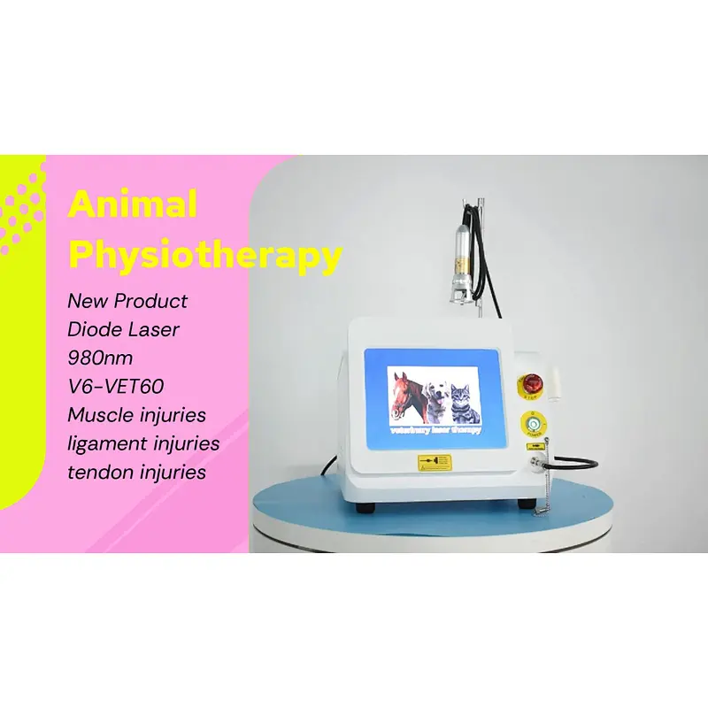 Class IV 980nm Laser Therapy Pet Clinic Animal Veterinary Physical Therapy Laser Equipment