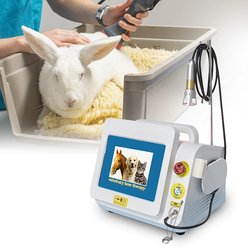 Dog Physiotherapy Physical Therapy Equipments Chiropractor Class Iv High Power Low Level Laser