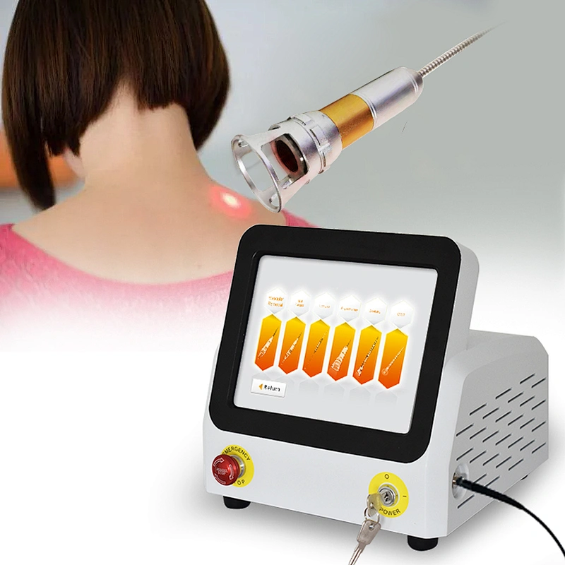 2025 New Portable Class IV Physiotherapy Diode Laser with Three Wavelength 810nm 980nm 1064nm for Therapy Pain Relief