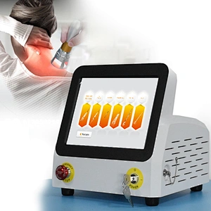 2025 Hot Sale  Portable Class Iv High Power Laser Physiotherapy Equipment 980nm for Pain Relief