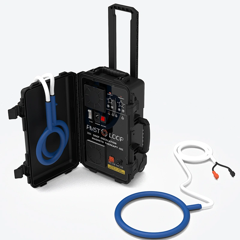 Horse Veterinary Equipment Magnetotherapy Loop Vet Laser Equine Machine Pemf Magnetic Therapy