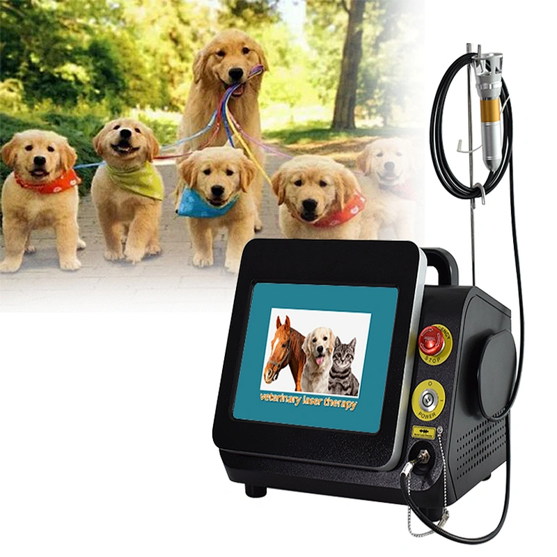 Portable Surgical Laser Veterinary Semiconductor Laser Therapy Instrument for Animals
