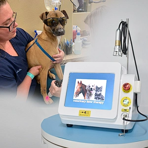 2023 Top Sale Veterinary Animal Pet 980nm Class IV Physiotherapy Pain Relief Diode Laser Machine
