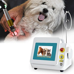 Dog Physiotherapy Physical Therapy Equipments Chiropractor Class Iv High Power Low Level Laser