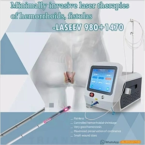 Proctological Surgery 980nm 1470nm Laser Machine Hemorrhoids  Laser Treatment  Diode Laser Machine