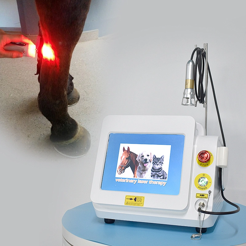 Veterinary Laser Therapy 980nm  Laser Machine  Laser Therapy Device for Pets