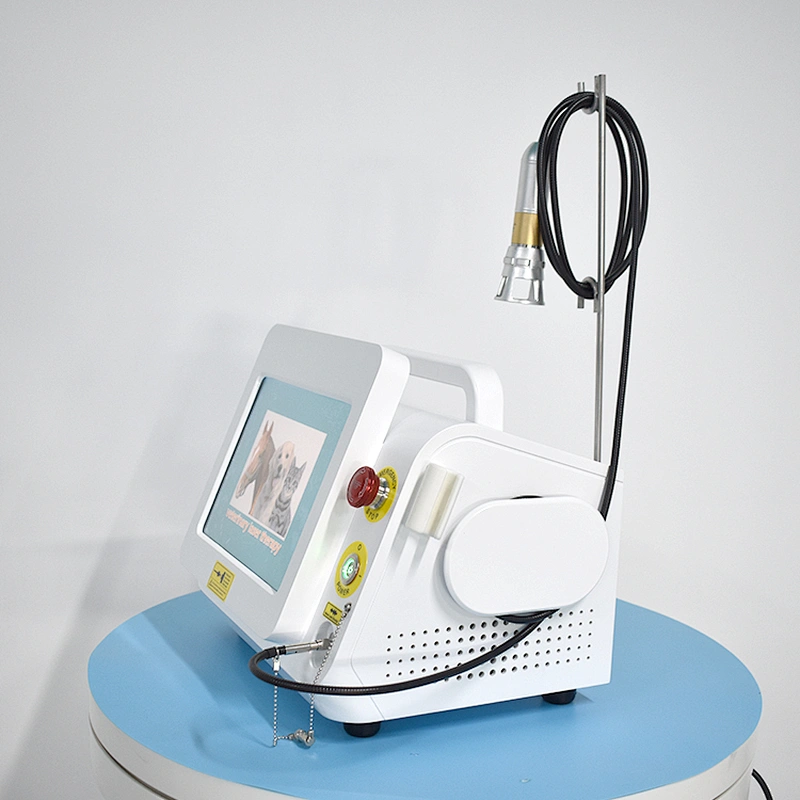 Class IV Diode Laser 980 nm 60 Watts Pet Laser Therapy Veterinary Equipment Physiotherapy Pet Physiotherapy