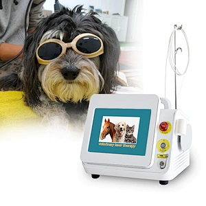 2024 Laser Therapy Physical Dog Horse Animals Pain Relief Medical Device