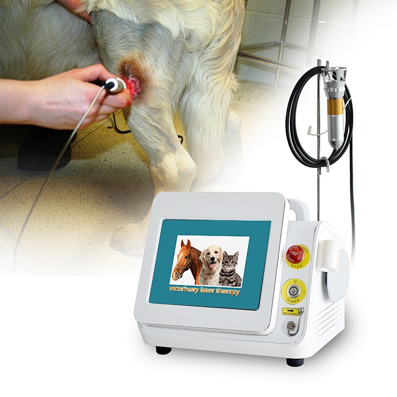 810& 980nm Veterinary Surgical & Therapy Laser Instrument Device