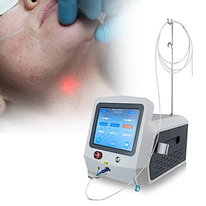 Aesthetic Anti Cellulite Weight Loss 980nm 1470nm Face Life Lipolysis Laser  Facial Laser