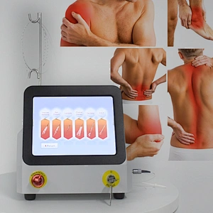 TRIANGEL High Intensive Laser Physiotherapy Class 4 Diode Laser 980nm 810nm 60W High Power Physical Therapy Equipment