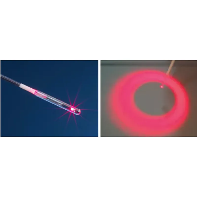 Dentistry ENT PLDD Cosmetic Urology EVLT  Surgery Use Sma905  400nm 600nm Optical Fiber Cable Accessories