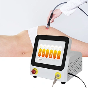 Laser Therapy Physiotherapy Class 4 Laser Therapy for Physiotherapy High Power Therapeutic Pain Management