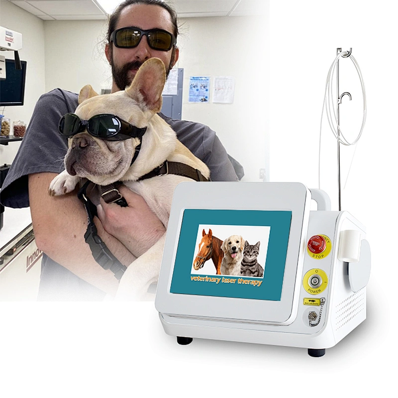 2025 Class 4 Therapy Laser High Intensity Physiotherapy Veterinary Animal Equipment Laser Therapy