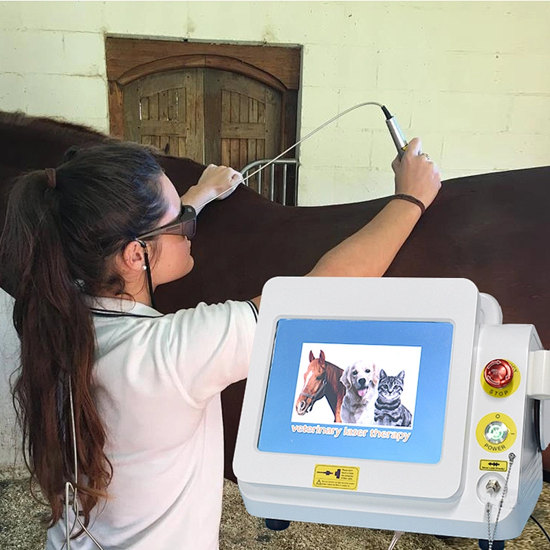 Class Iv Laser Therapy Physical Dog Horse Animals Pain Relief Medical Device
