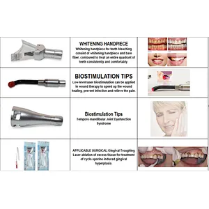 980nm 1470nm 47W Diode Laser Machine Surgery Tooth Whitening Oral Therapy Dental Laser