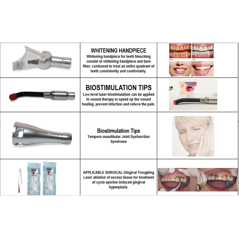 980nm 1470nm 47W Diode Laser Machine Surgery Tooth Whitening Oral Therapy Dental Laser