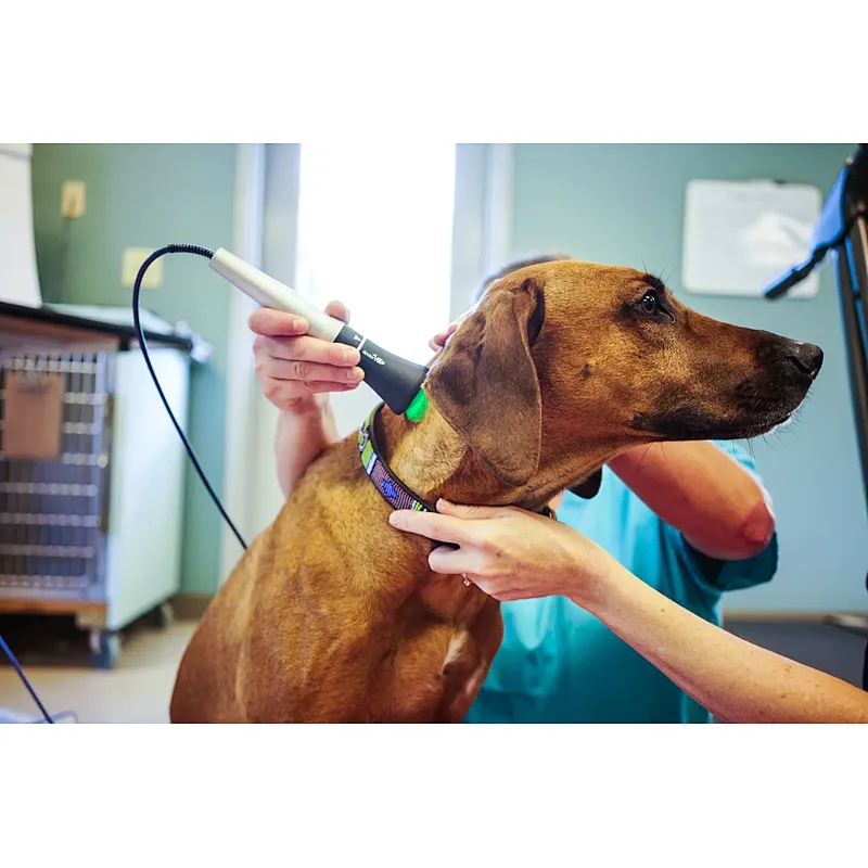 TRIANGEL 980 Animal Laser Therapy 810nm 980nm 1064nm Class 4 Best Veterinary Pet Equine Laser Horse Therapy Equipment