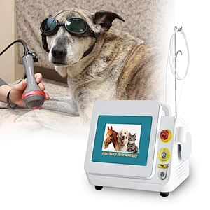 2024 Laser Therapy Physical Dog Horse Animals Pain Relief Medical Device