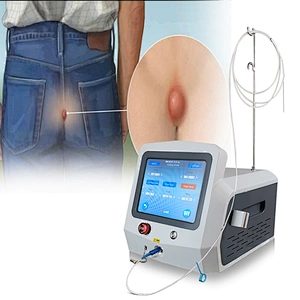 Medical CE Authentication Diode Laser Treat Hemorrhoids Surgery Machine 980nm1470nm Cutting Hemorrhoids/Anal Fistula