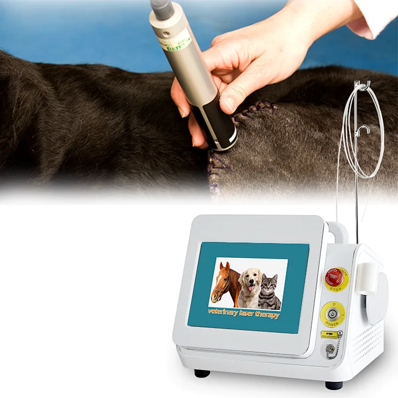 2025 Medical Diode Laser 980nm Veterinary Physical Laser Therapy Equipment for Animals Pain Relief