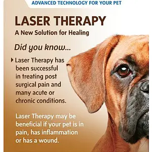 2024 Class 4 Medical Veterinary Laser Therapy for Horse Dog Pain Physical Therapy Equipment