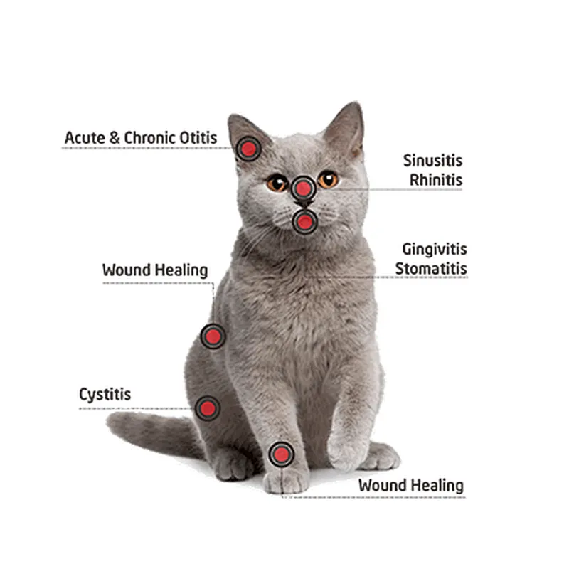 2024 New Veterinary Laser Therapy High Power Class 4 Vet Laser