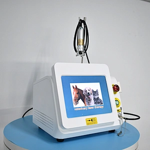 Class IV Diode Laser 980 nm 60 Watts Pet Laser Therapy Veterinary Equipment Physiotherapy Therapy Horse