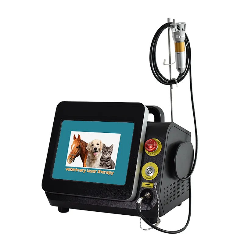 Lllt Laser Diode 980nm  Laser Physical Therapy Physiotherapy High Power Laser Equipment