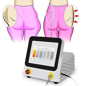 980nm Diode Laser  Lipolysis Body Surgery Papada Removal Body Shaping Machine